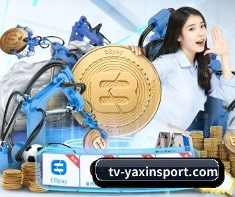 打造你的掌上体育空间